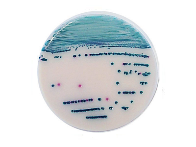ɳ�T�Ͼ������@ɫ���B��